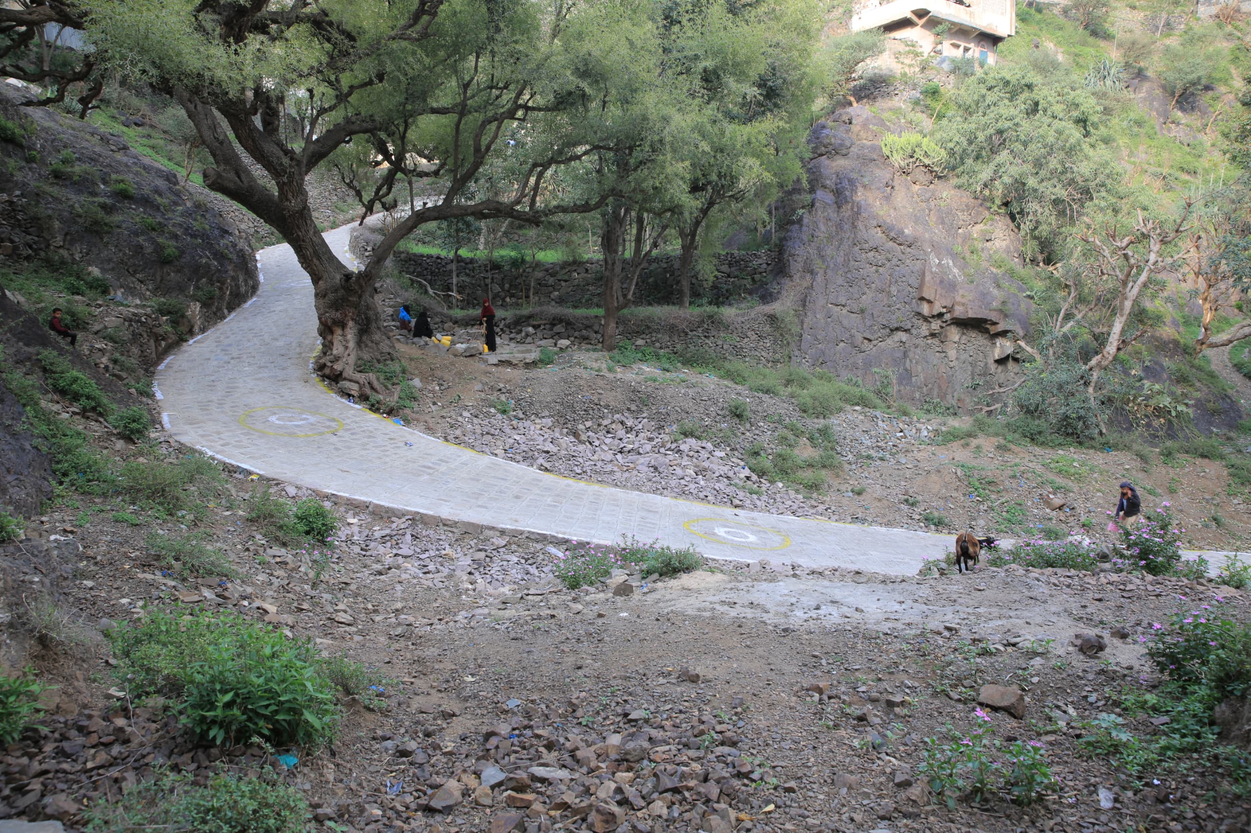 افتتاح طريق جديد يخدم أهالي بني بحير في تعز