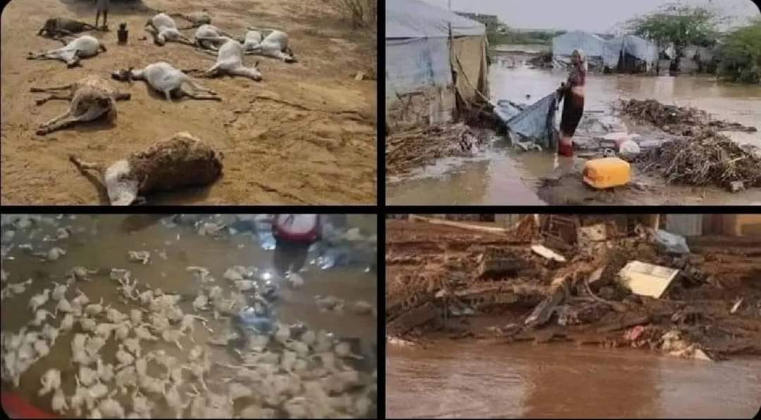 احتياجات المتضررين من السيول والامطار